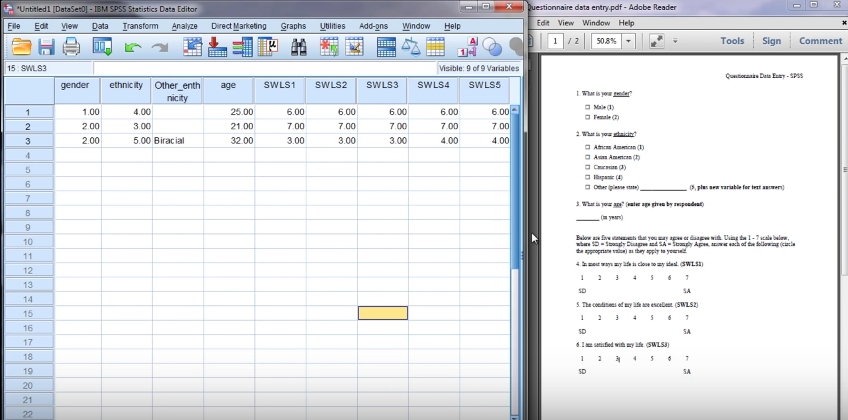 Data Entry Image #1