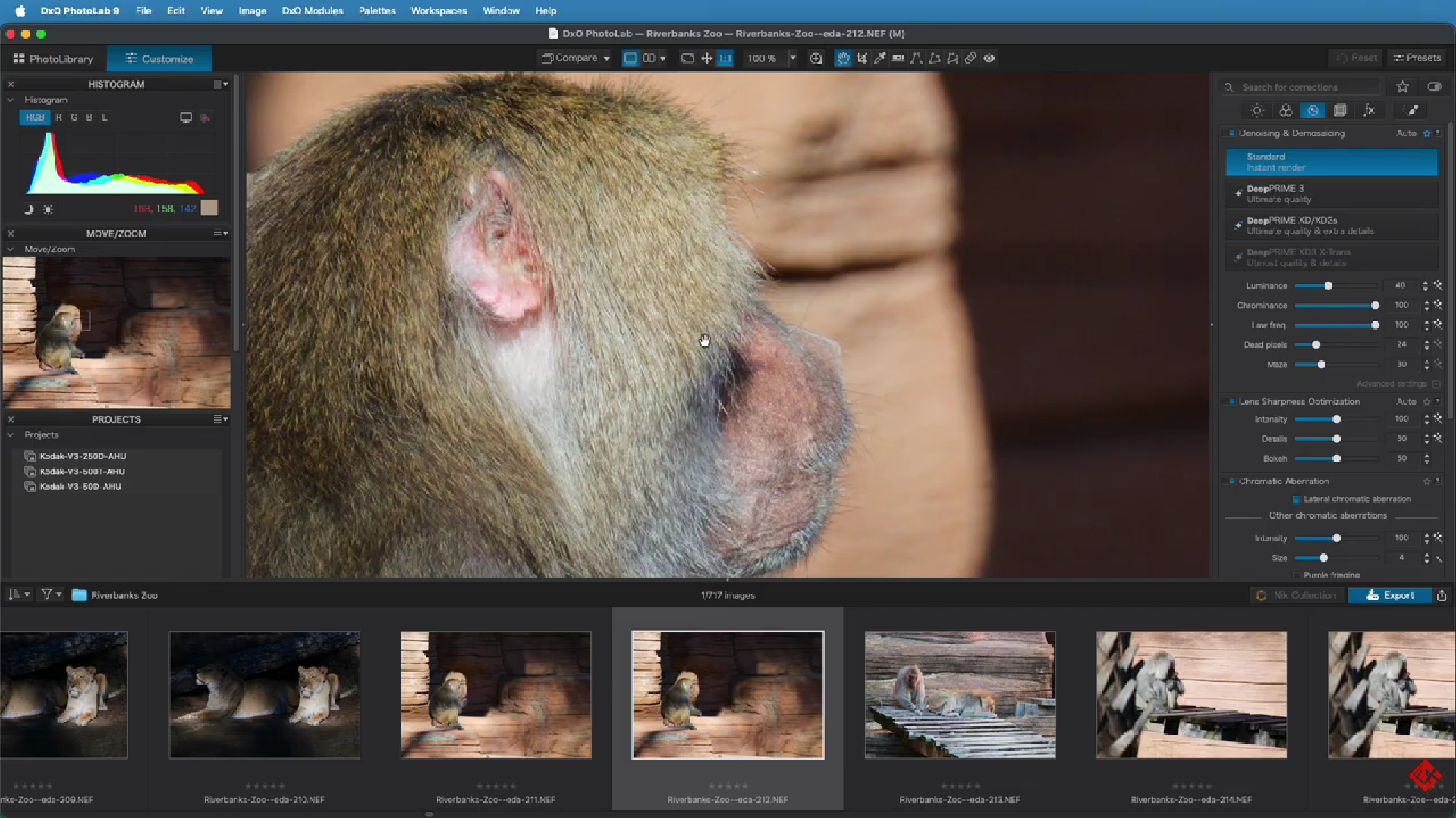 Editing Photography Image #15
