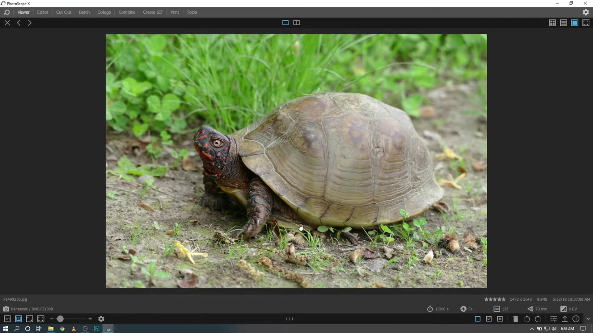 Editing Photography Image #18