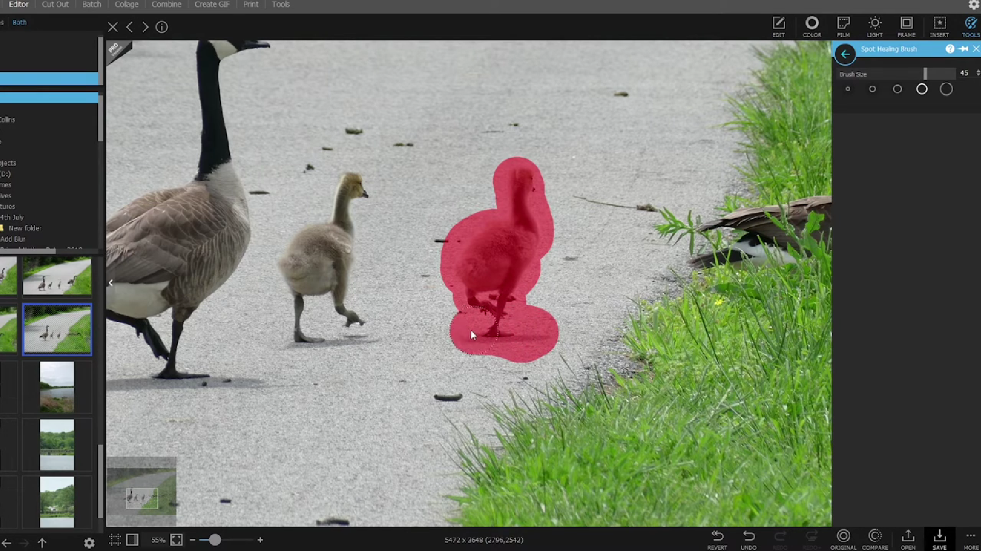 Editing Photography Image #21