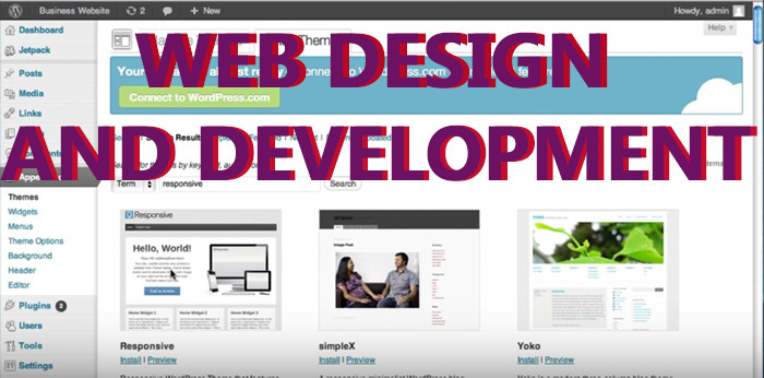 Web Design & Development